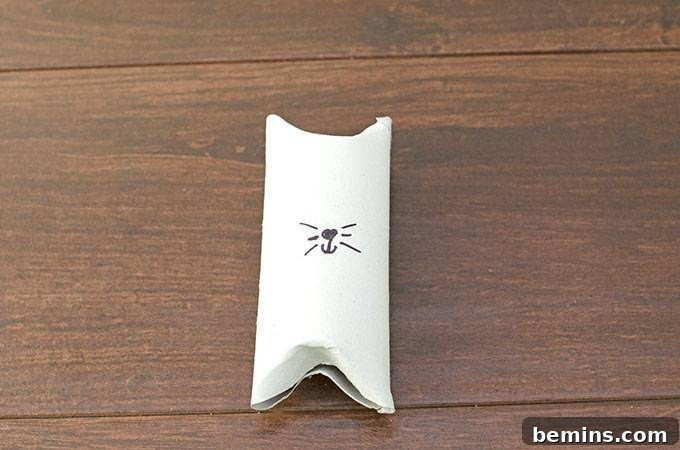 DIY Toilet Paper Roll Cat Toy