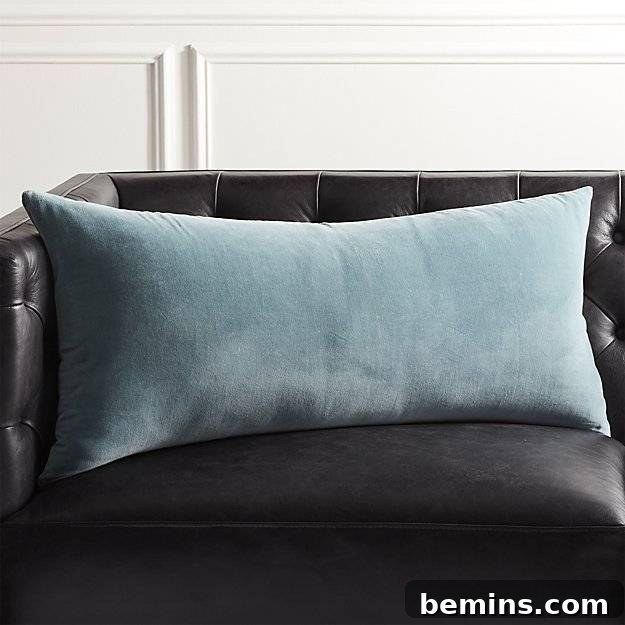 Pastel blue throw pillow, a subtle way to add color to your home
