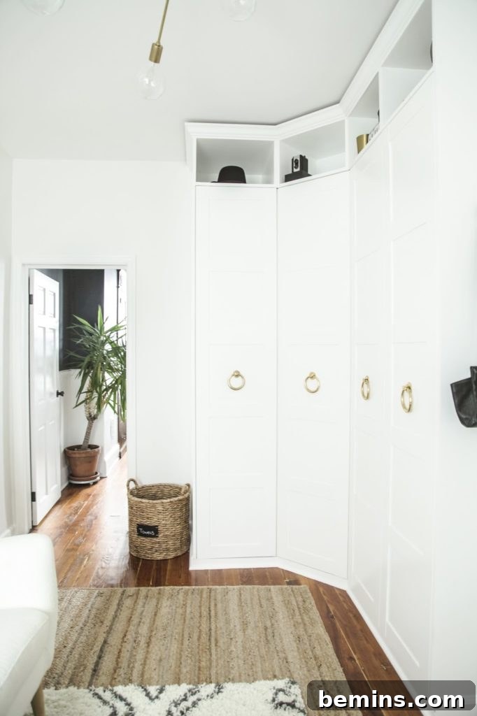 Crafting Your Perfect IKEA Closet: A Design Guide 17 Built-in PAX wardrobe idea