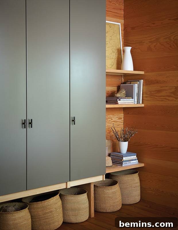 Crafting Your Perfect IKEA Closet: A Design Guide 24 ikea pax hack