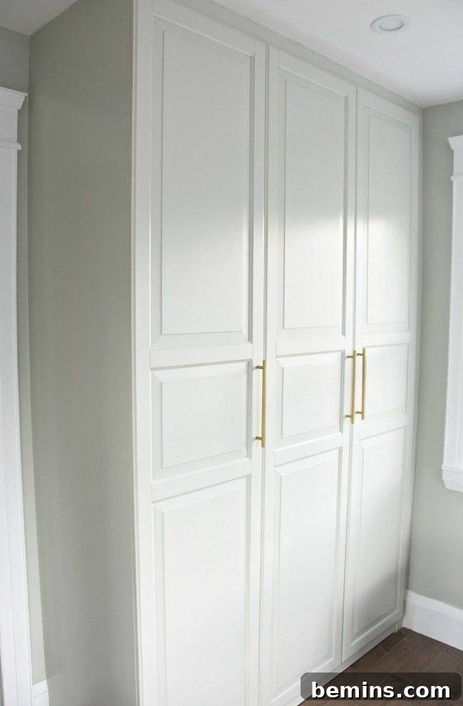 Crafting Your Perfect IKEA Closet: A Design Guide 25 built-in IKEA wardrobe