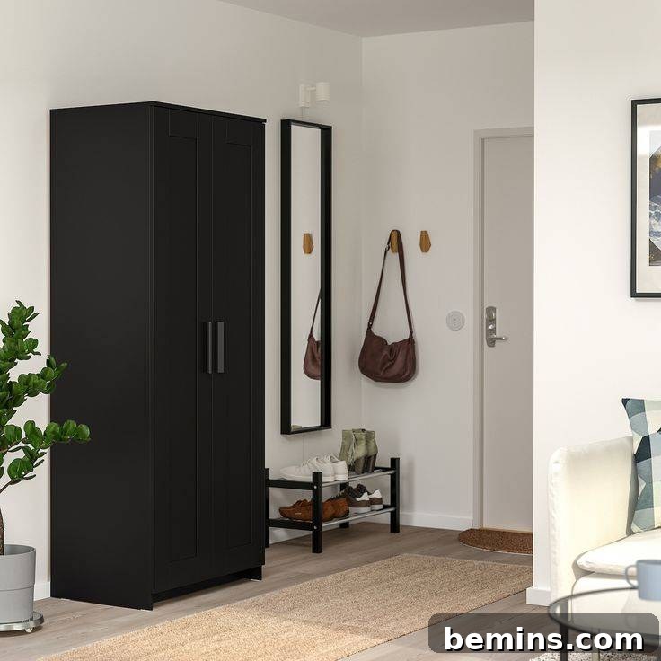 Crafting Your Perfect IKEA Closet: A Design Guide 7 IKEA BRIMNES wardrobe with two doors
