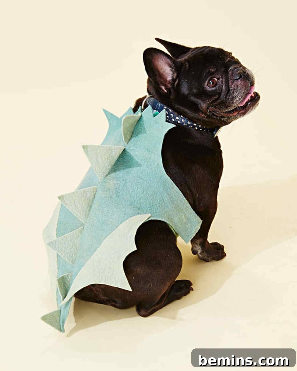 Halloween dragon dog costume
