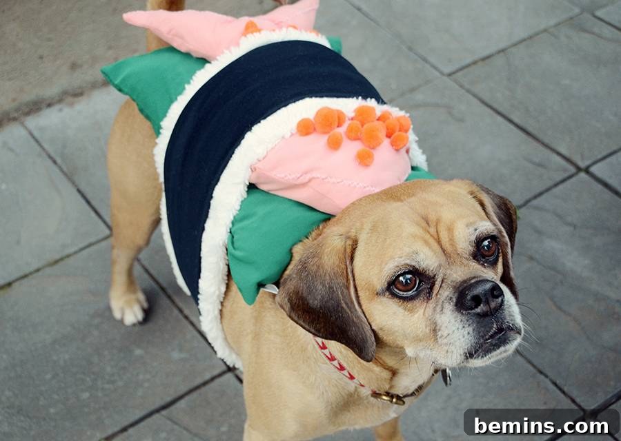 DIY Sushi Halloween Costume For Your Dog