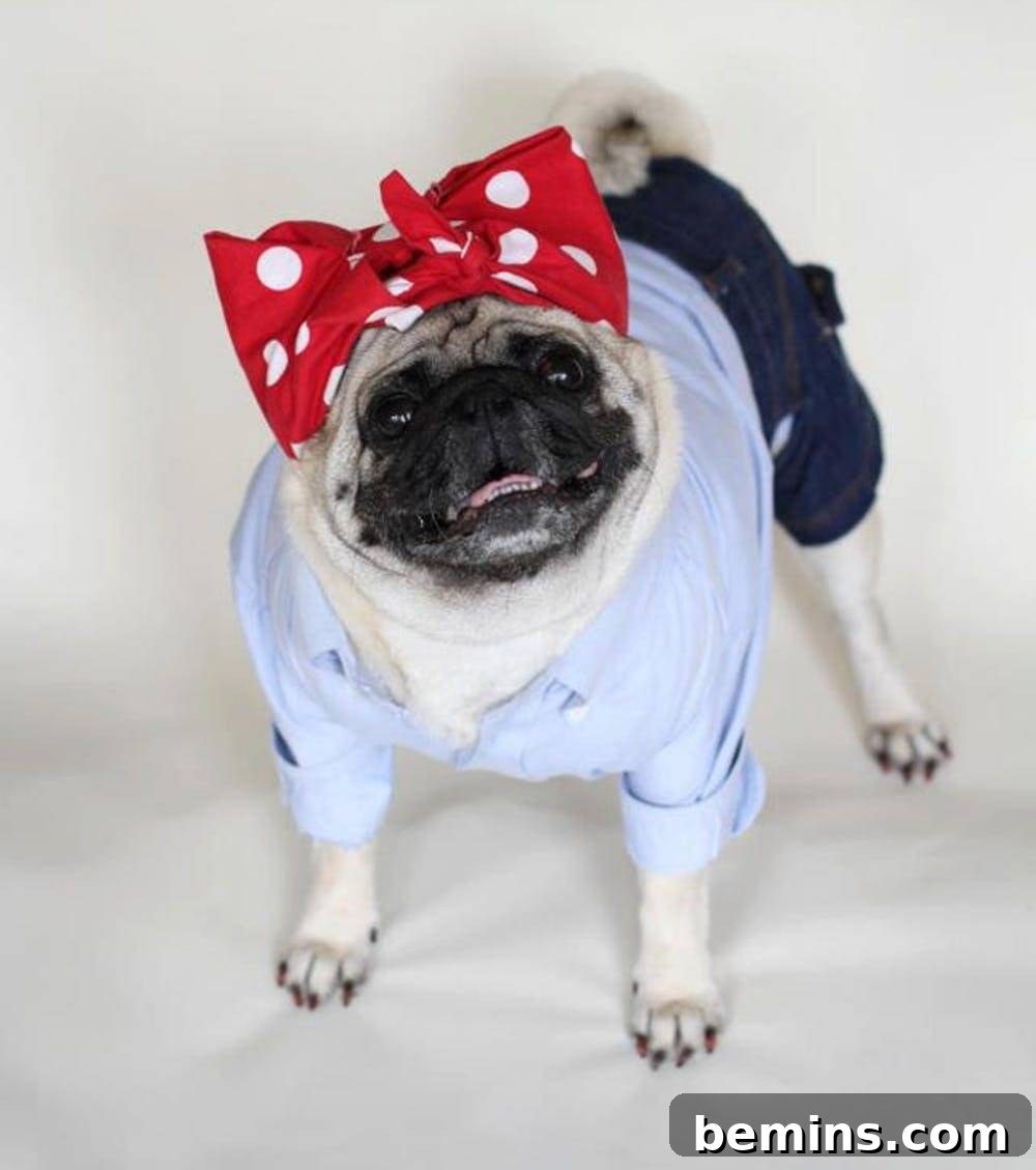 Halloween Rosie the Riveter dog costume