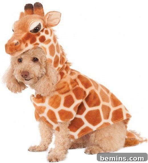 Halloween giraffe dog costume