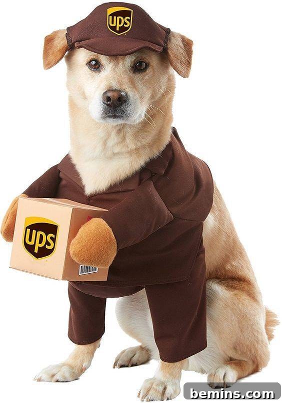 Halloween UPS delivery dog costume