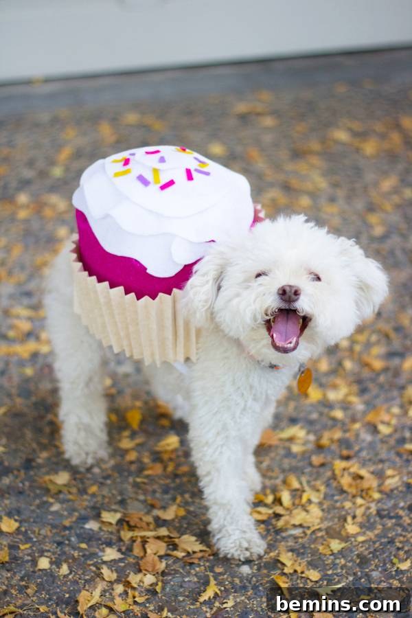 Dog cupcake Halloween costume