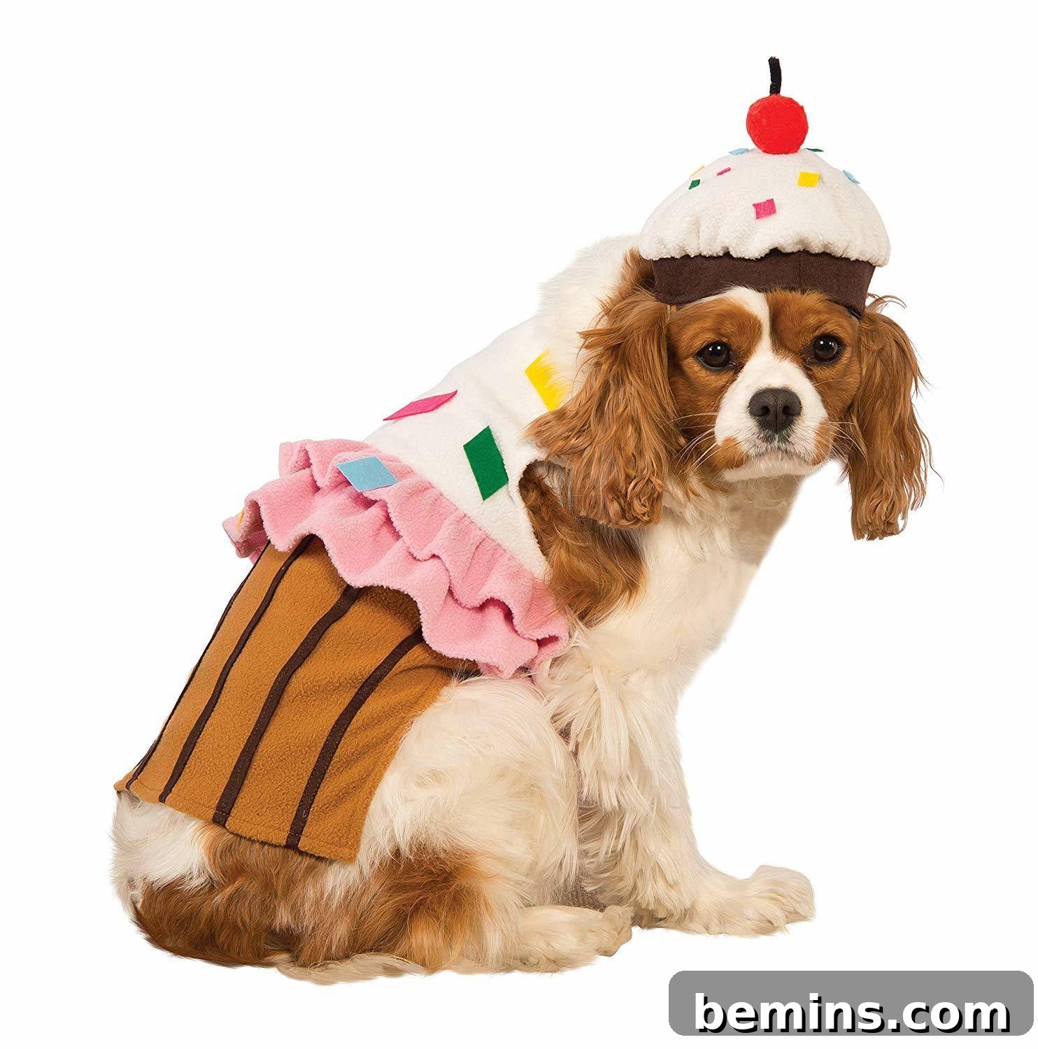Halloween cupcake dog costume