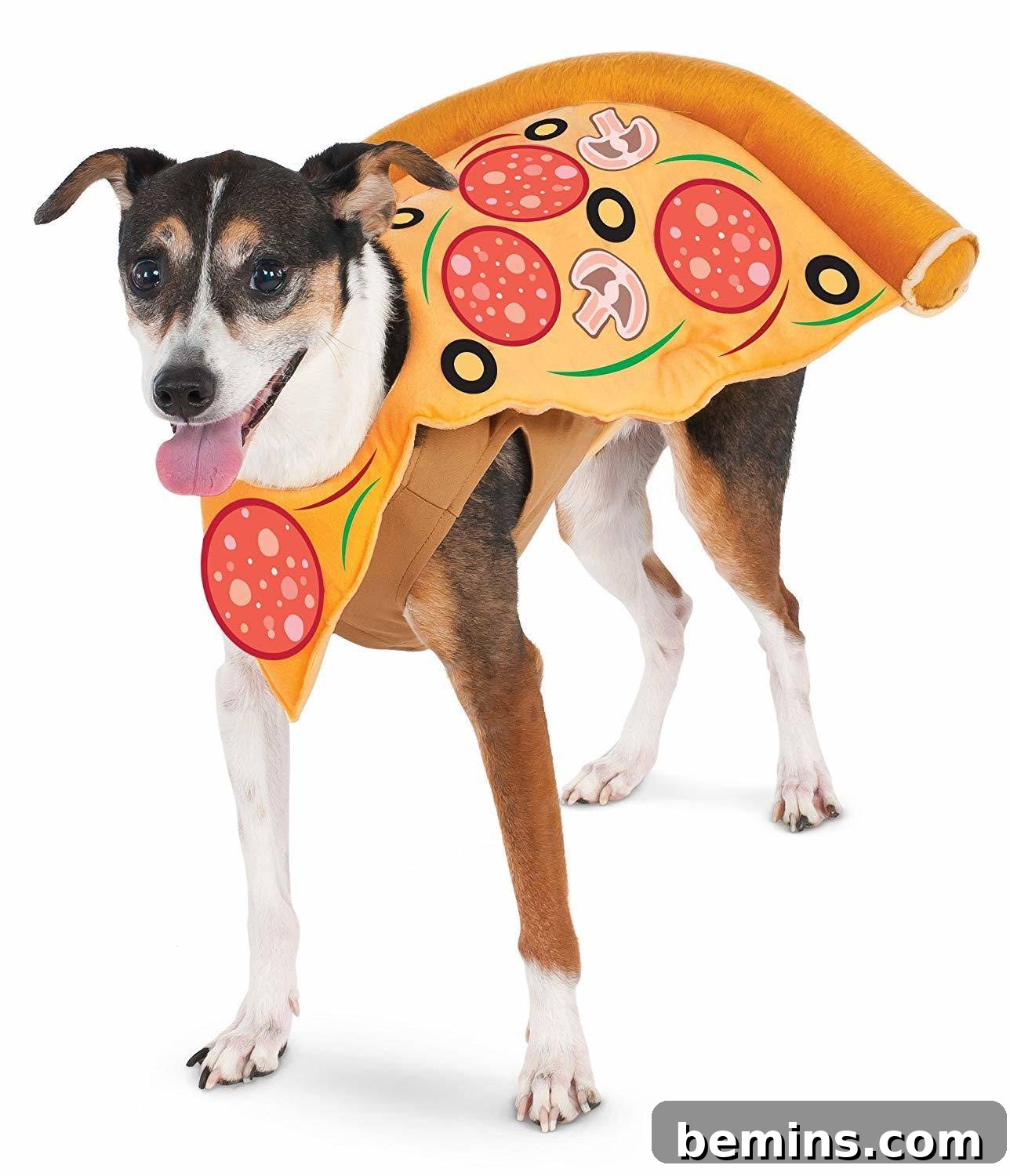Halloween pizza dog costume