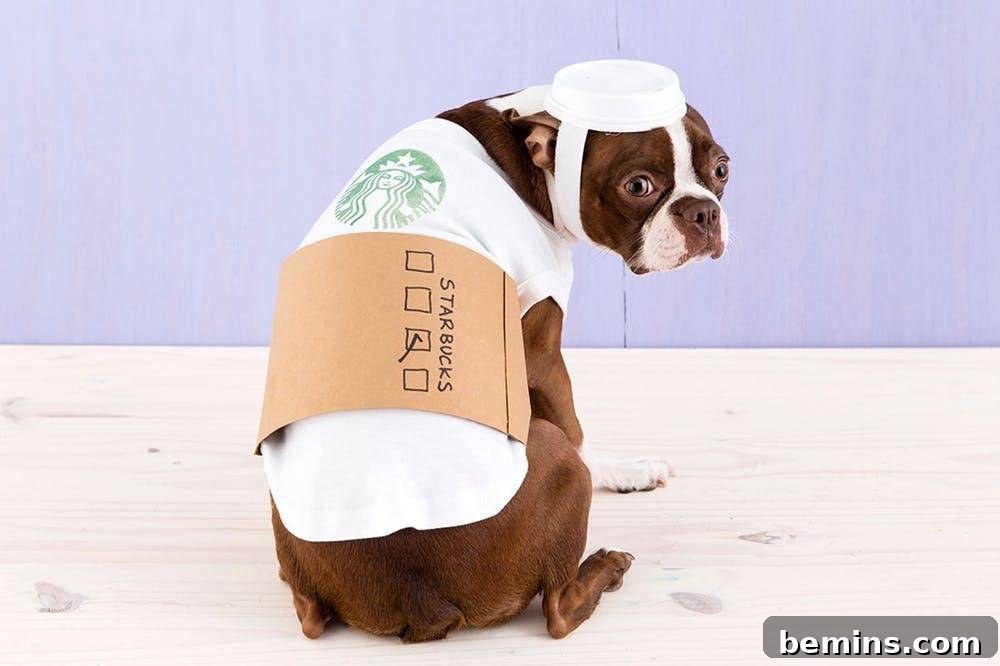 Halloween dog coffee costume