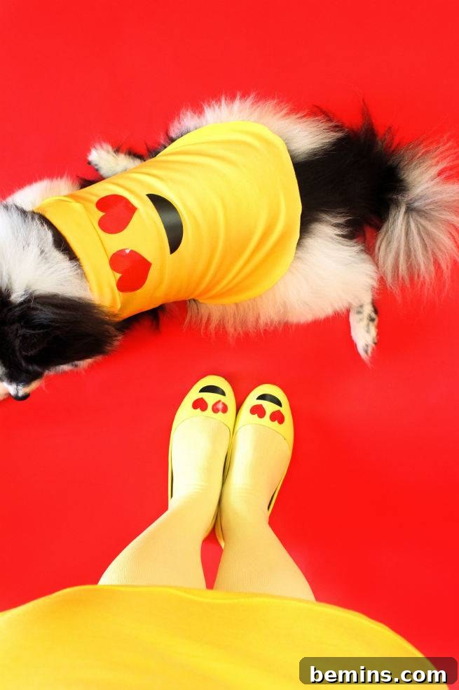 Check Out These Amazingly Clever DIY Halloween Costumes for Your Dog and Cat