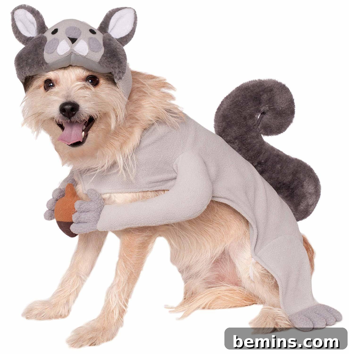 Halloween squirrel dog costume