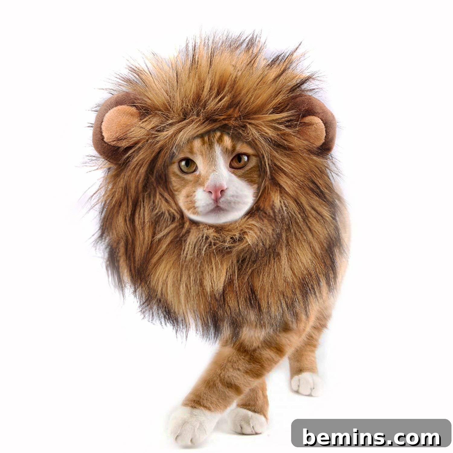 A plush animal cat that is dressed as a lion.