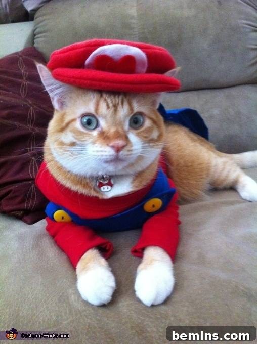Halloween Super Mario cat costume