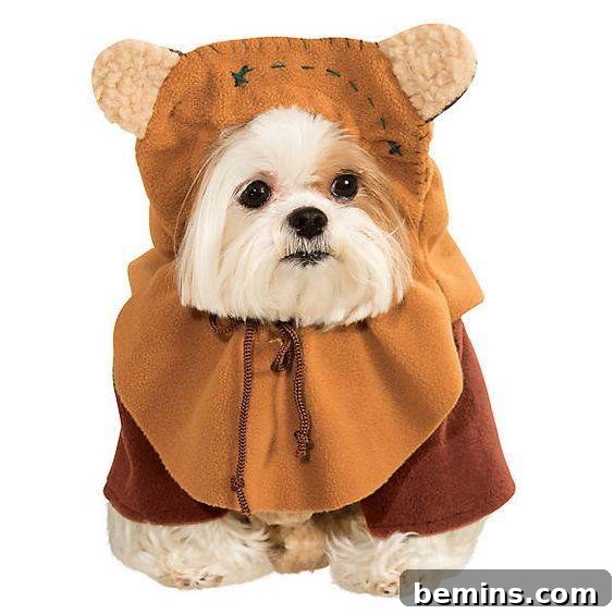 Halloween ewok dog costume