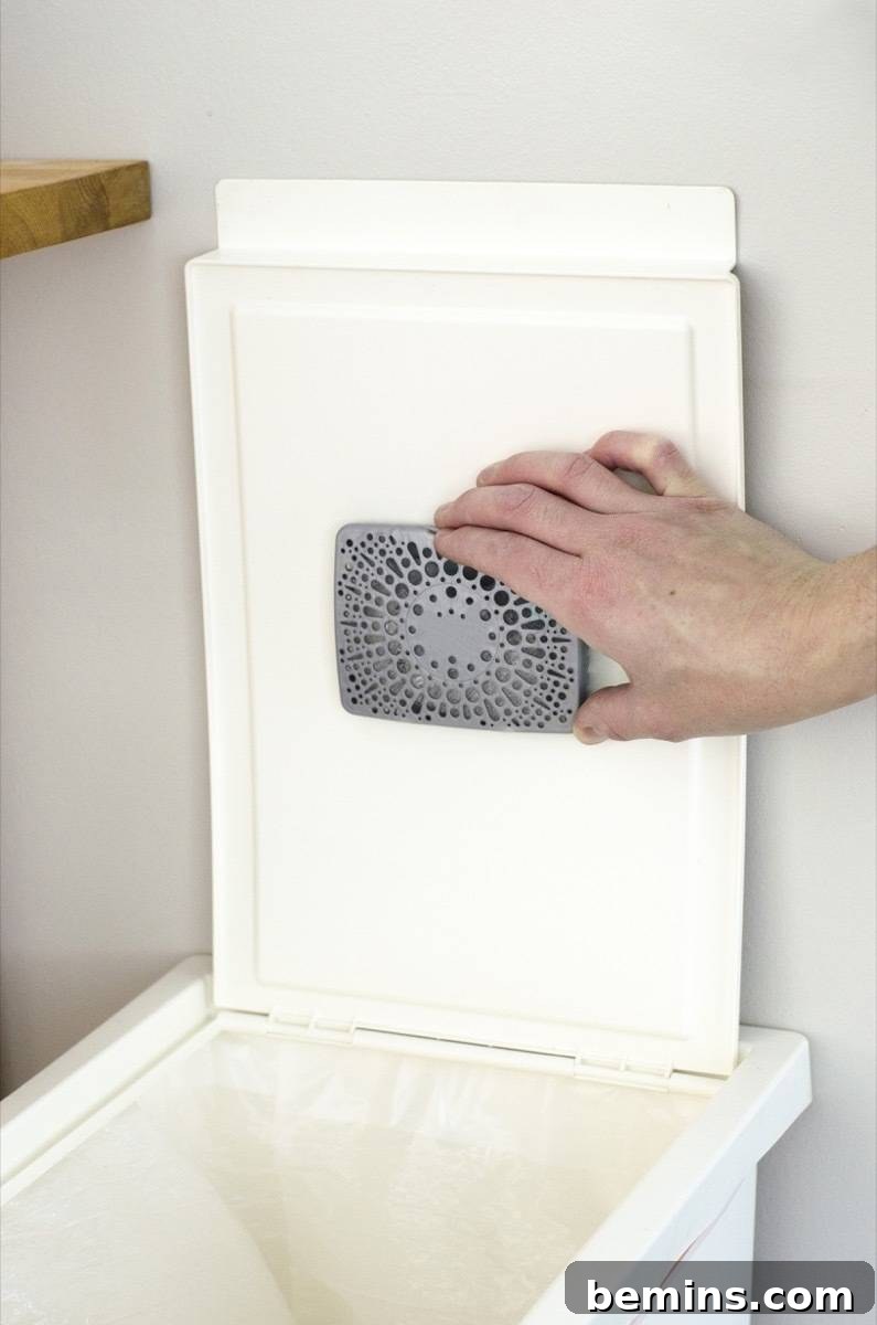 Trash can deodorizer