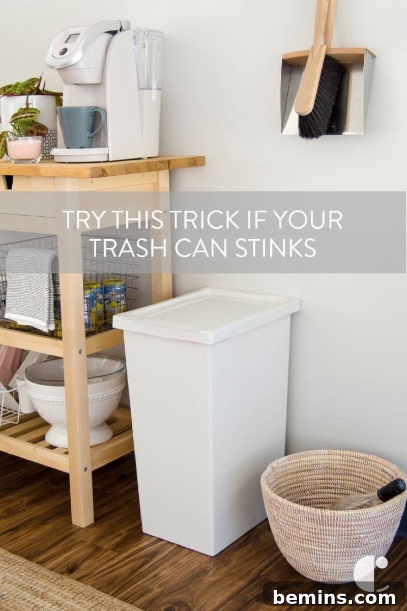 Try this trick if your trash can smells