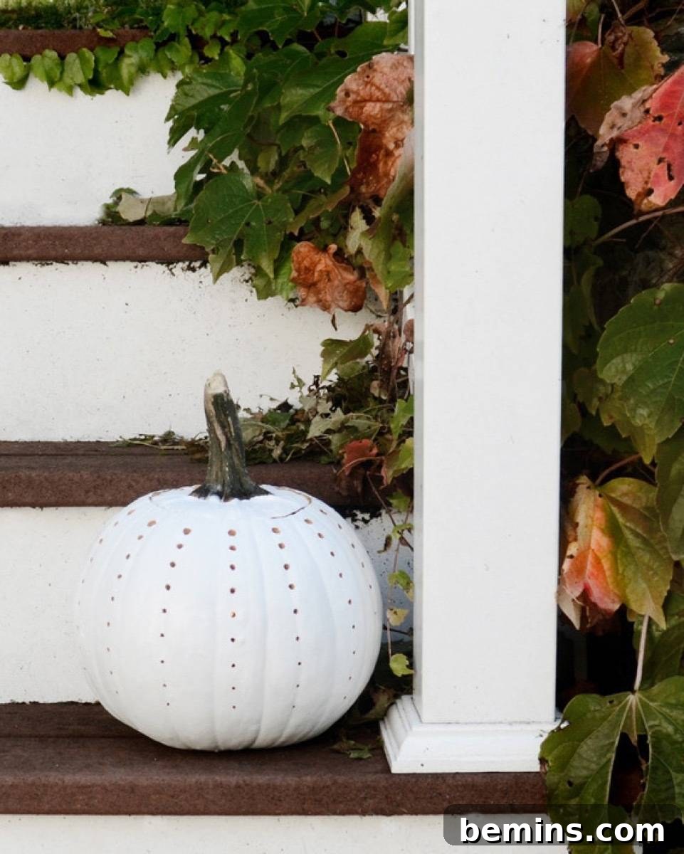 Decorated pumpkins, showcasing creative autumn bucket list activities