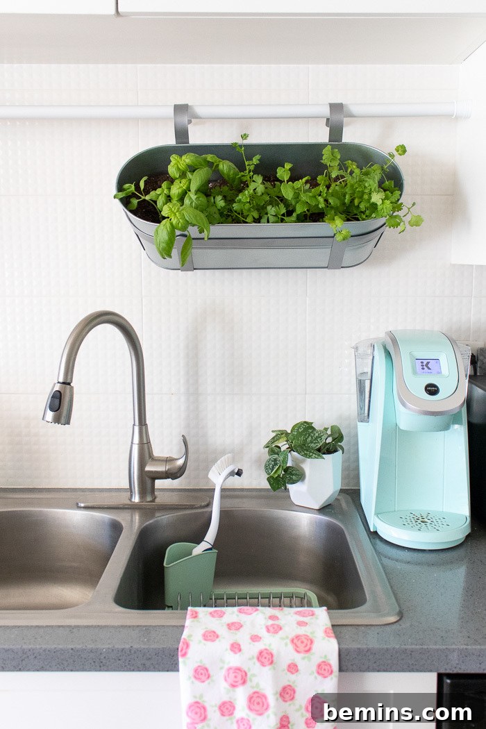 DIY Renter-Friendly Hanging Herb Garden with Fresh Basil