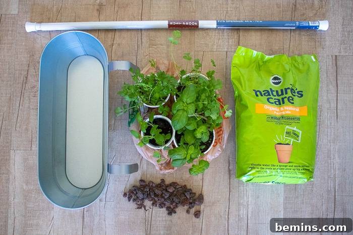 Materials needed for a renter-friendly hanging herb garden, including a tension rod, planter, herbs, rocks, and soil.