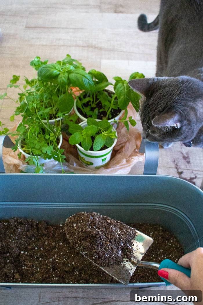 Spreading a thin layer of organic potting mix on top of the drainage rocks in a hanging planter.