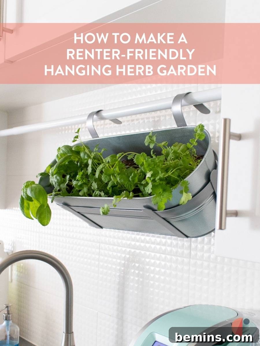A beautifully thriving DIY hanging herb garden in a kitchen, showcasing fresh green herbs ready for harvest.