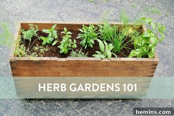Cover image for 'Herb Gardens 101' guide, showing various potted herbs.