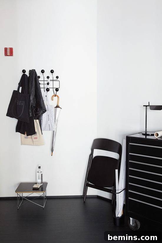 Eames hang-it-all