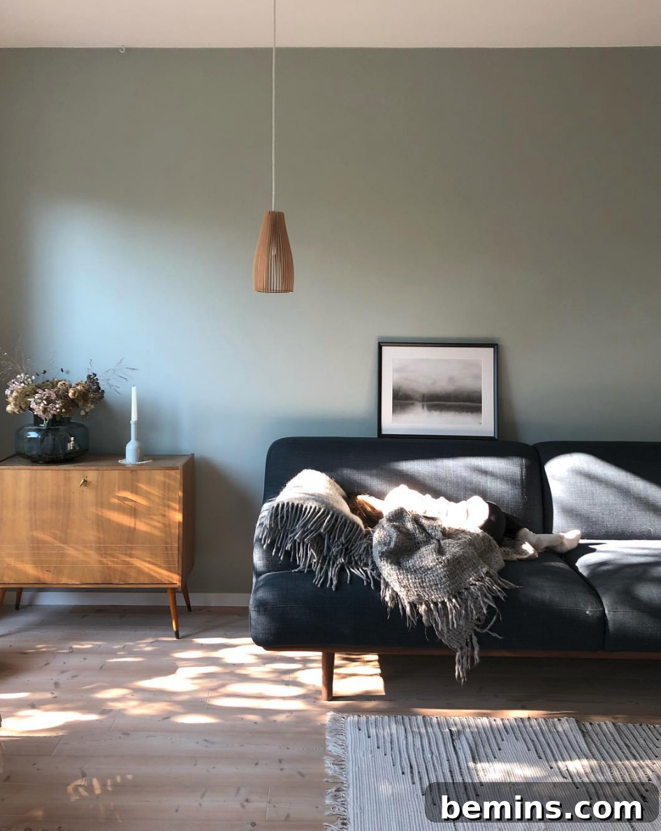 Cozy Scandinavian living room