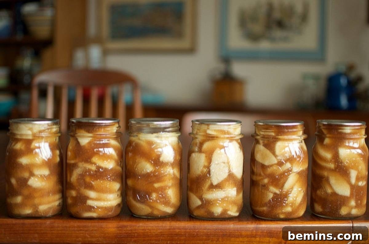 Spiced apple pie filling