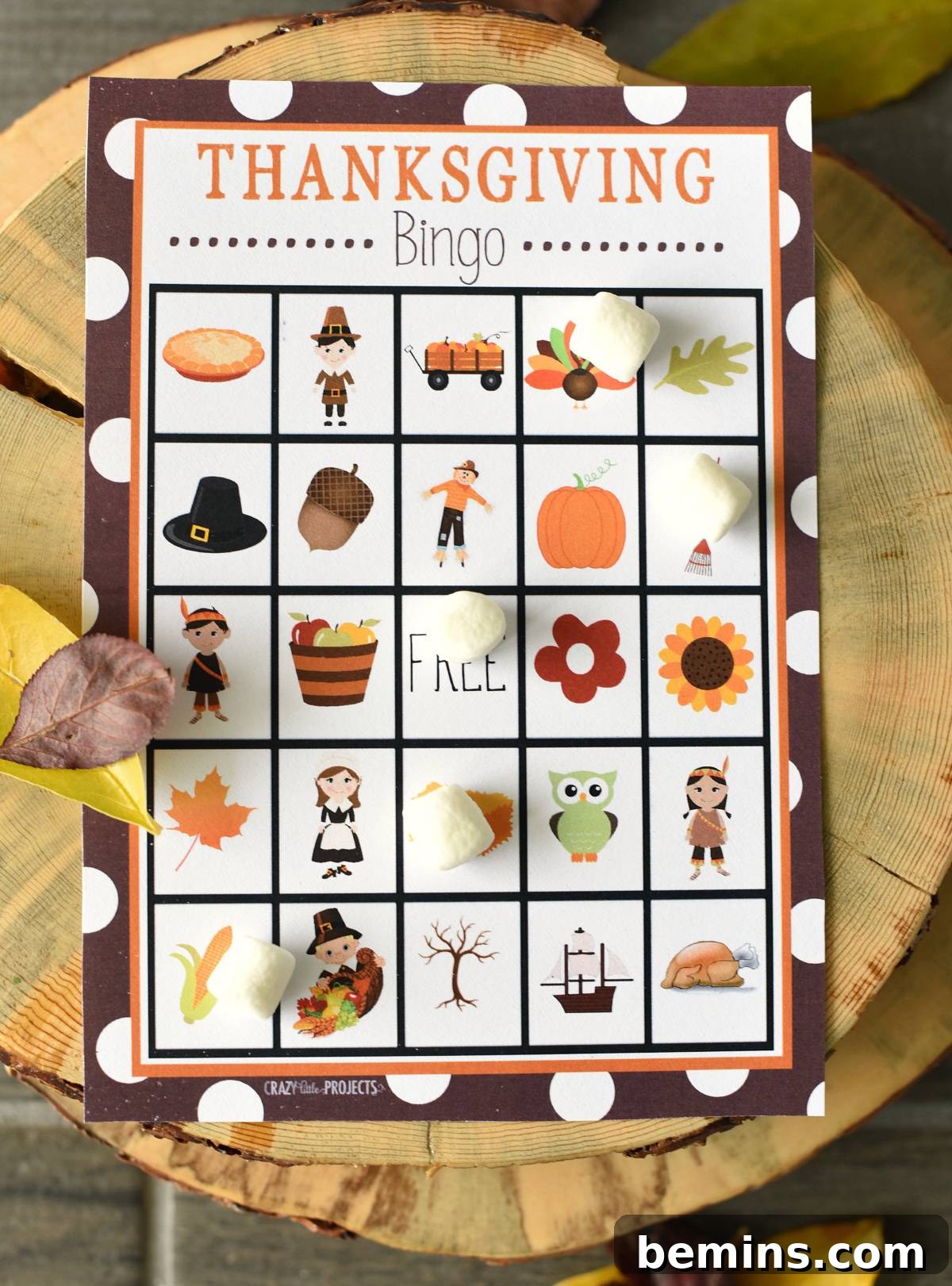 Thanksgiving Bingo Game