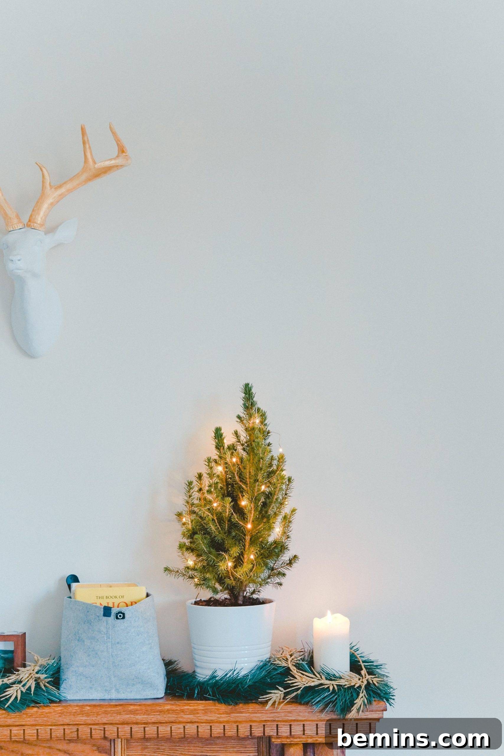 Unlock the Secrets to a Long Lasting Christmas Tree 7 A small, potted tabletop mini living Christmas tree decorated with simple ornaments