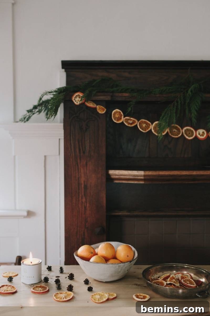 Cozy Christmas Apartment