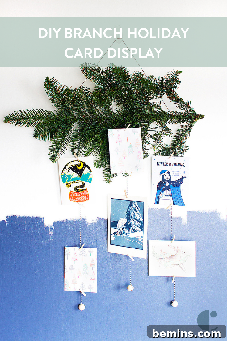 Pin this DIY Project