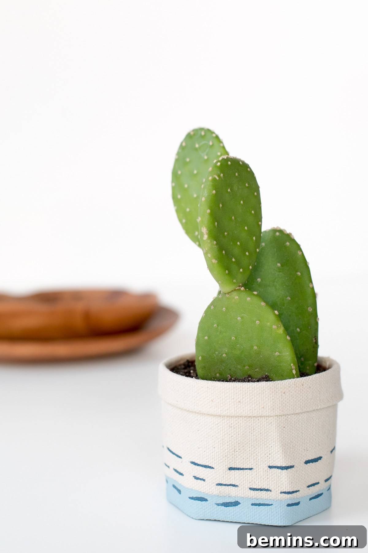No-Sew Plant Wrap