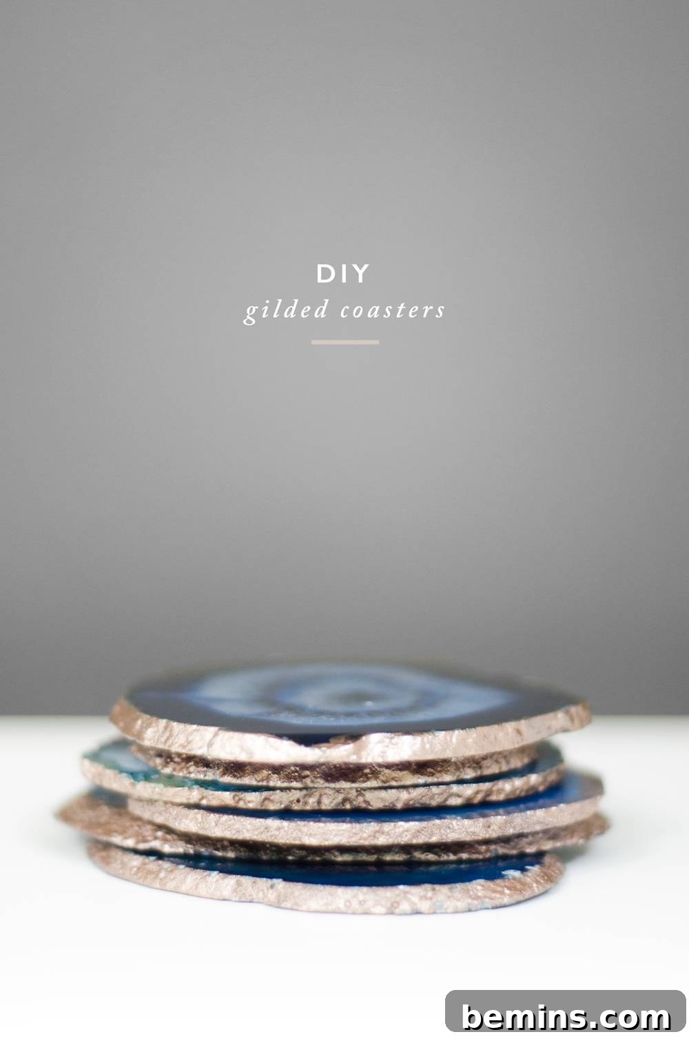 Gilded Agate Coaster Hostess Gift