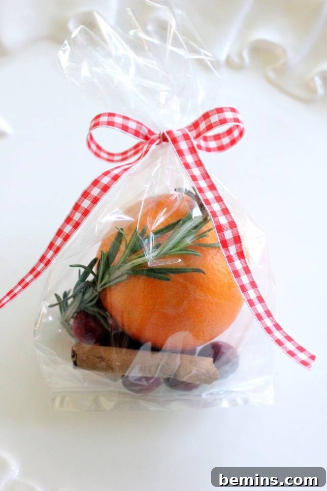 Simmering Potpourri Mix Hostess Gift