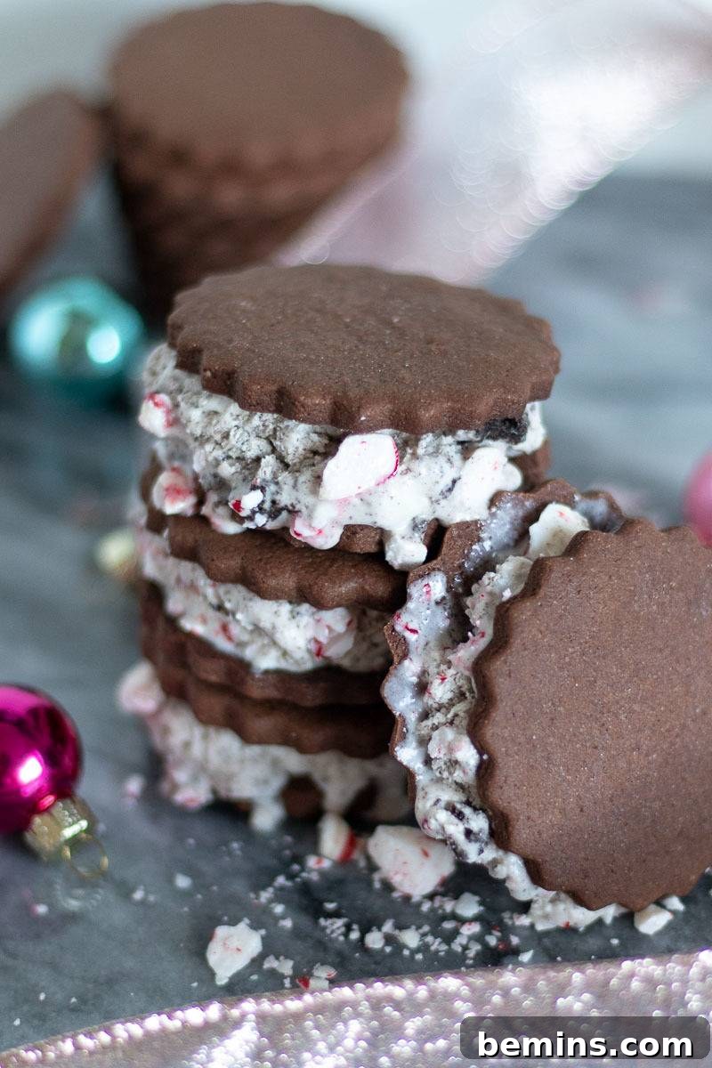 Close-up of Peppermint Christmas Cookie Ice Cream Sandwiches with Crushed Peppermint Topping