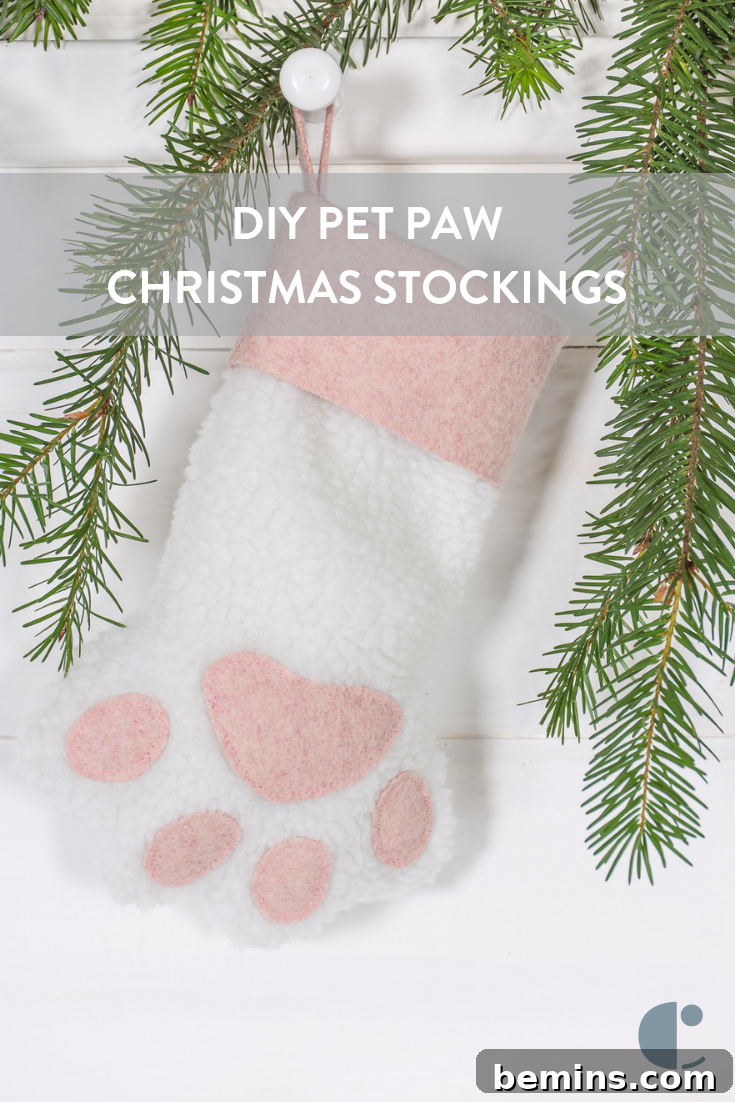 Pinterest Graphic - DIY Pet Christmas Stocking