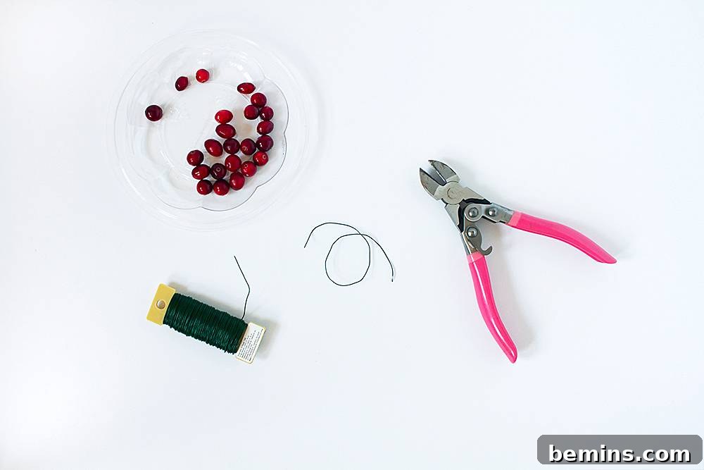 Pink plyers near beads and wire.