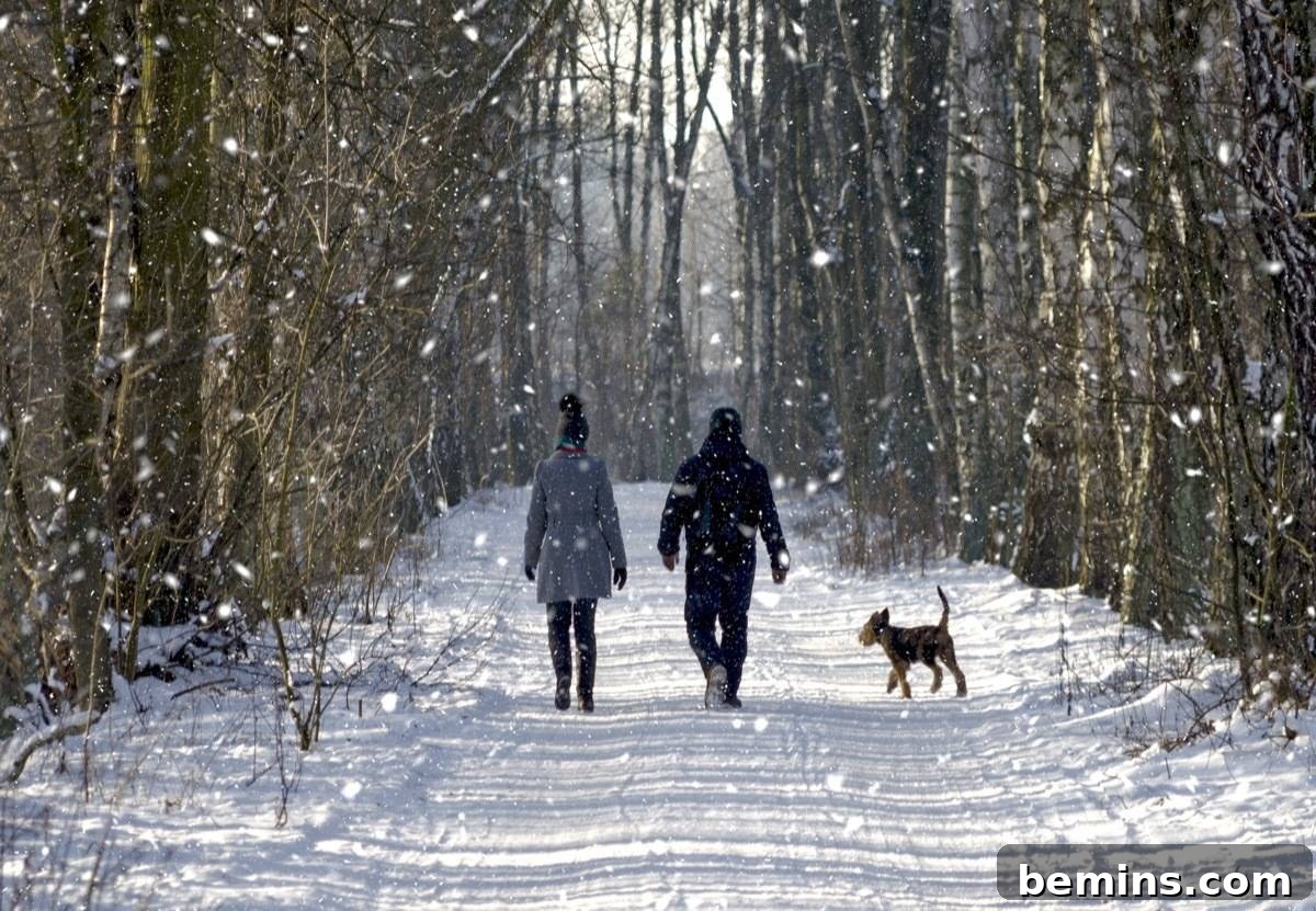 Couple walking in a snowy forest
