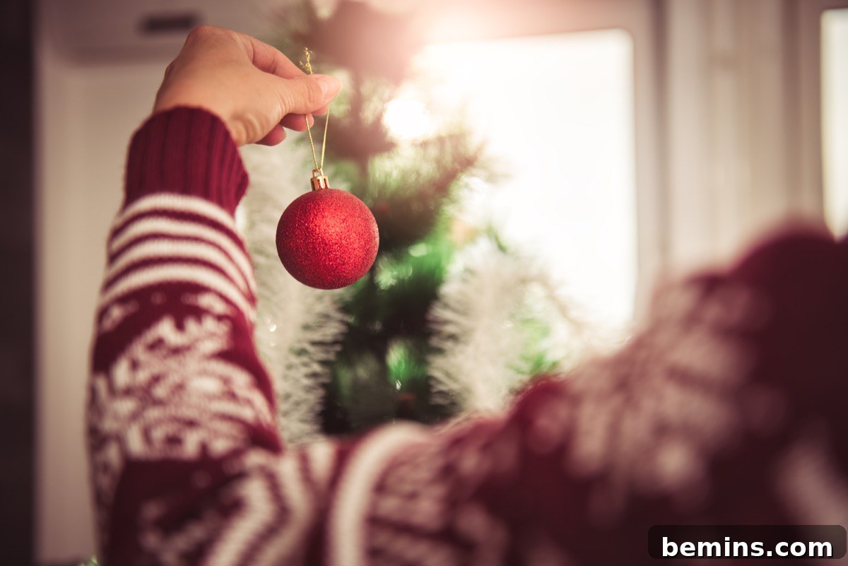 Tradition Remix: 15 Tales of Holiday Twists 2 Holiday traditions around the world