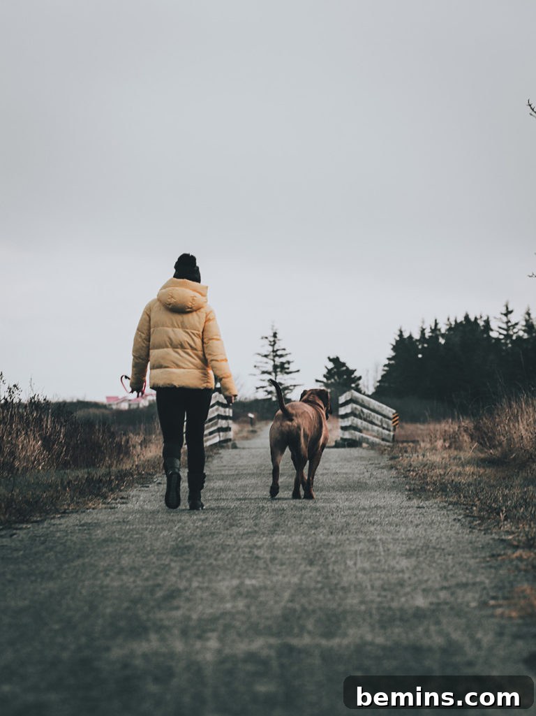 Woman walking her dog on a trail, symbolizing disconnecting from technology