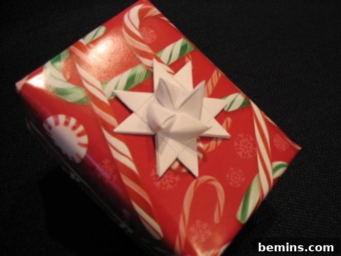A wrapped up christmas gift.
