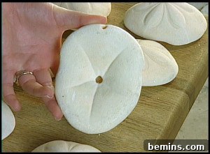 Sea Shell Lights 3 A close-up view of a person holding a sea biscuit shell, showcasing the natural holes and indentations on its underside.