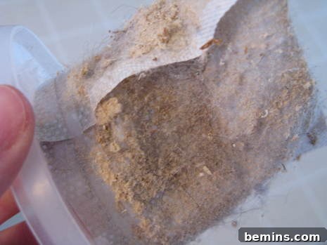 Person showing dust of vacuum filter. Demonstrating the importance of regular vacuum filter cleaning.