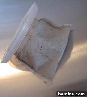 A dramatically cleaner vacuum filter after being brushed. Shows the positive results of cleaning a vacuum filter.