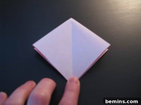Origami heart-shaped hacks