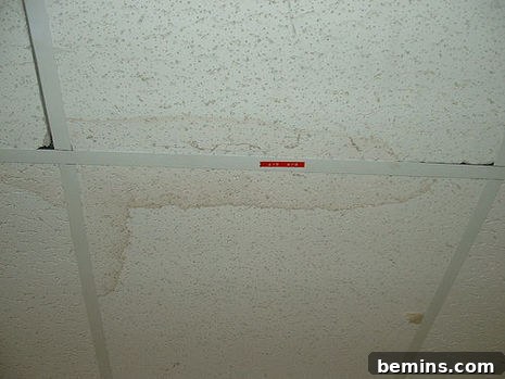 A dirty ceiling has water damage on it.
